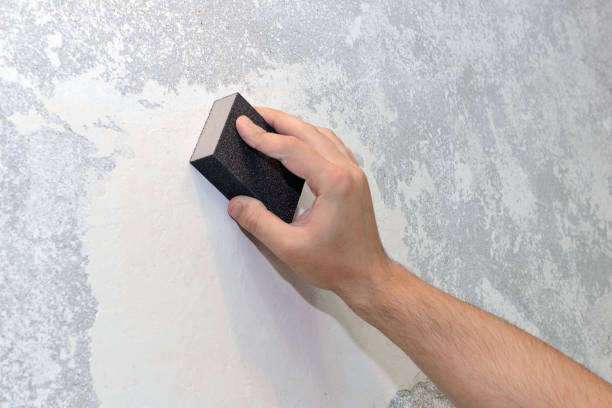 Best Black Mold Removal  in Ainsworth, NE