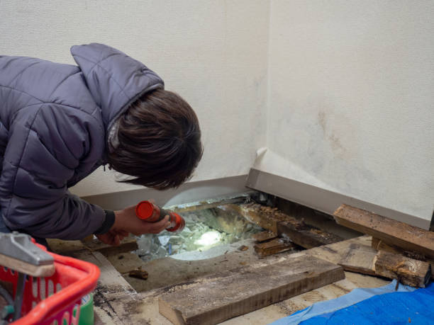 Best Asbestos and Lead Testing During Mold Inspection  in Ainsworth, NE