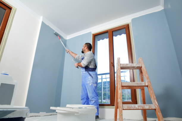 Mold Odor Removal Services in Ainsworth, NE