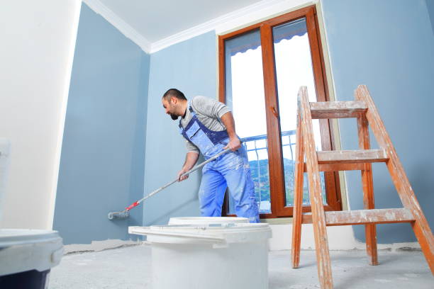 Best Post-Construction Mold Inspection  in Ainsworth, NE