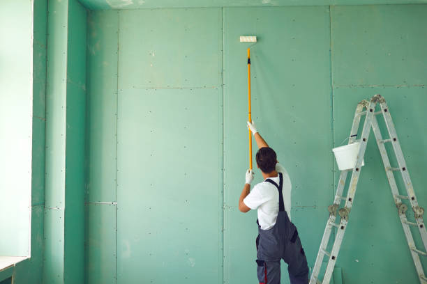 Best Mold Damage Restoration  in Ainsworth, NE