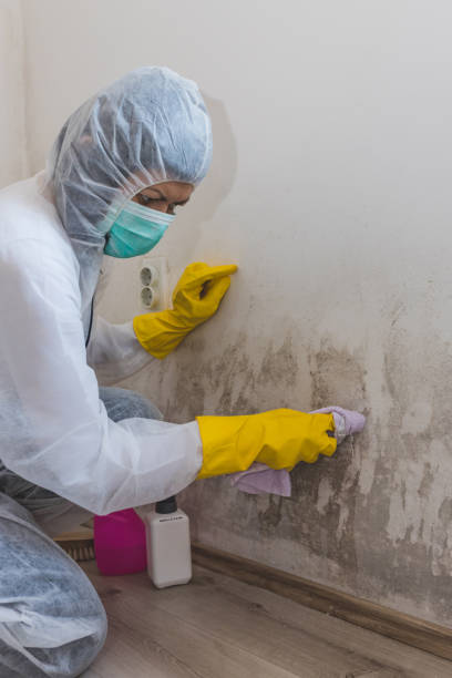 Best Air Quality Testing for Mold Spores  in Ainsworth, NE