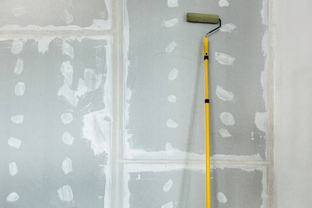 Best Dehumidification Services  in Ainsworth, NE