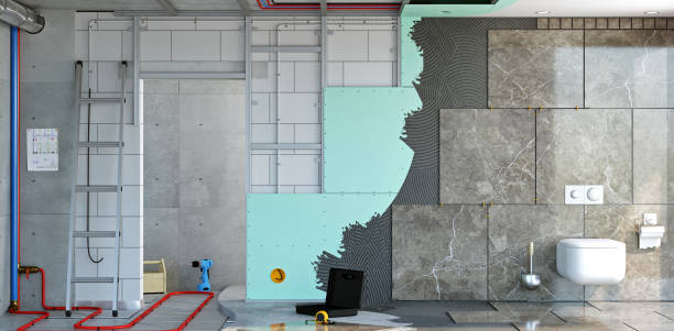 Best Emergency Mold Remediation  in Ainsworth, NE
