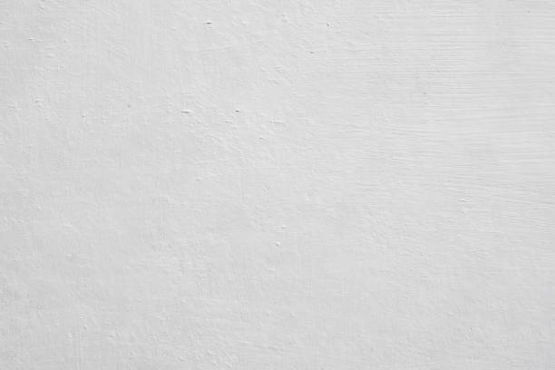Best Mold Remediation for Healthcare Facilities  in Ainsworth, NE