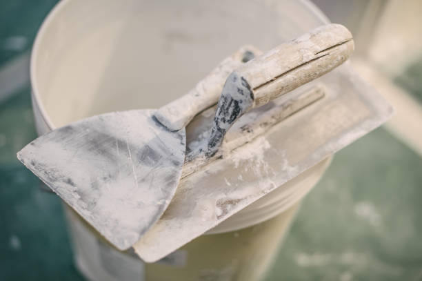 Best Basement Mold Removal  in Ainsworth, NE