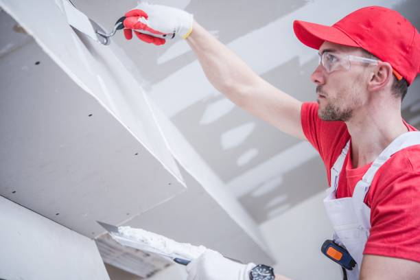 Best Mold Removal for HVAC Installations  in Ainsworth, NE
